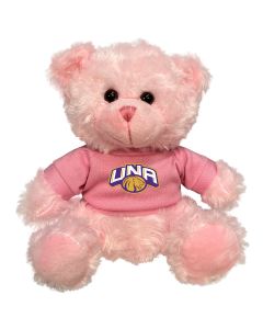 North Alabama Plush Pink Bear 6"