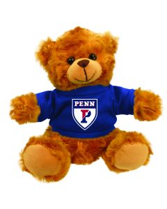 Pennsylvania Jersey Bear 6"