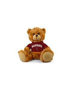 Harvard Jersey Bear 9in