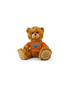 Florida Jersey Bear 9in