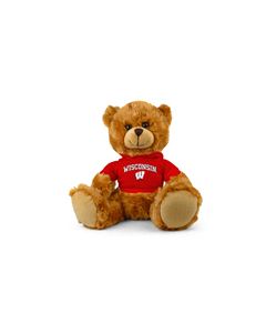 Wisconsin Jersey Bear 9in