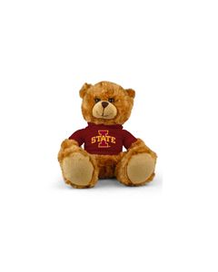 Iowa State Jersey Bear 9in
