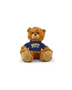 Pittsburgh Jersey Bear 9in