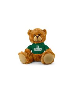 Dartmouth Jersey Bear 9in