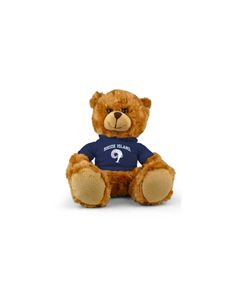 Rhode Island Jersey Bear 9in
