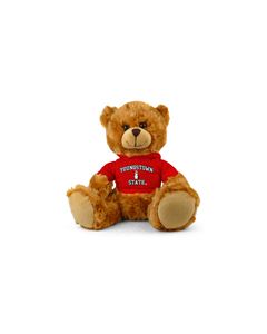 Youngstown State Jersey Bear 9in