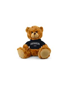Providence College Jersey Bear 9in