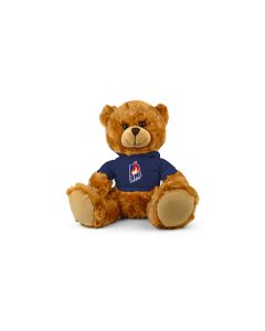 Illinois Chicago Jersey Bear 9in