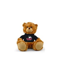 Northern Illinois Jersey Bear 9in
