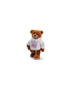 March For Babies Bear