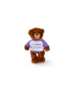 Team in Training Bear