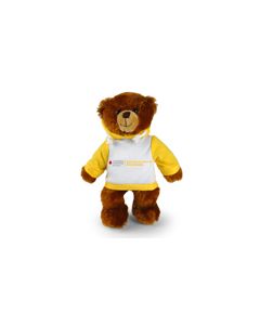 School & Youth Hoodie Bear