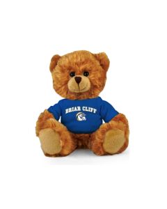 Briar Cliff Jersey Bear 11"