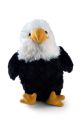 Eagle - 8