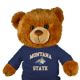 Montana State Jersey Bear 18in