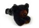 Smokey Mountain Black Bear 12