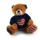 I Love USA Sweater Bear