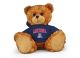 Arizona Jersey Bear 11