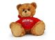 Arkansas Jersey Bear 11