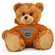 Florida Jersey Bear 11in