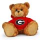 Georgia Jersey Bear 11in