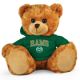 Colorado State Jersey Bear 11in