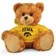 Iowa Jersey Bear 11in