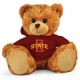 Iowa State Jersey Bear 11in