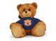 Auburn Jersey Bear 11