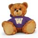 Washington Jersey Bear 11in