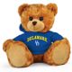 Delaware Jersey Bear 11in