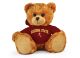 Arizona State Jersey Bear 11