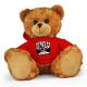 UNLV Jersey Bear 11in