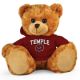 Temple Jersey Bear 11in