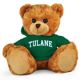 Tulane Jersey Bear 11in