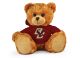 Boston College Jersey Bear 11