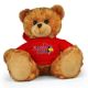 Illinois State Jersey Bear 11in