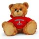Youngstown State Jersey Bear 11in
