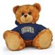 UC Santa Barbara Jersey Bear 11in