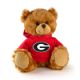 Georgia Jersey Bear 6in