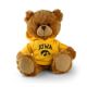 Iowa Jersey Bear 6in