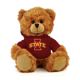 Iowa State Jersey Bear 6in