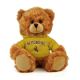 Wyoming Jersey Bear 6in