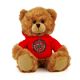 Louisiana Lafayette Jersey Bear 6in