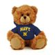 Naval Academy Jersey Bear 6in