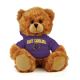 East Carolina Jersey Bear 6in