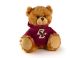 Boston College Jersey Bear 6