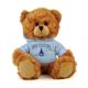 Citadel Jersey Bear 6in