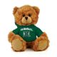 Hawaii Jersey Bear 6in