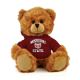 Missouri State Jersey Bear 6in